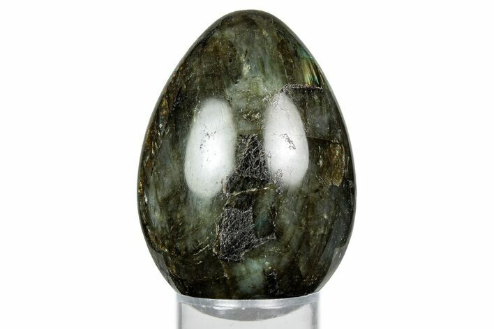Flashy, Polished Labradorite Egg - Madagascar #344319